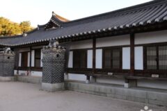 “100년 된 나무들이 이렇게 많다니!”… 서울 한복판 숨은 전통 명소