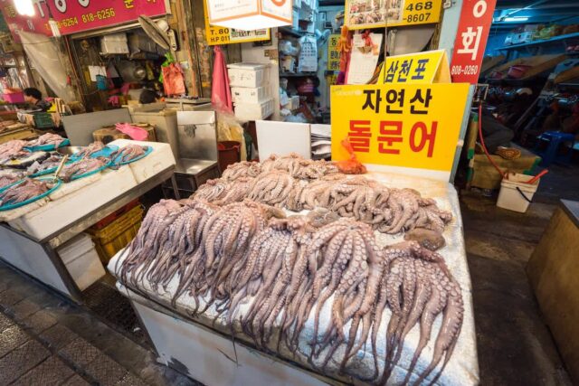 2026년 6월 부전시장 무료 가볼만한곳 BEST 5, 부산의 활력을 만나다!