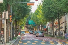 “서울 도심 속 이런 곳이 있었다니!”… 한강 1km 거리의 이국적 서래마을 명소