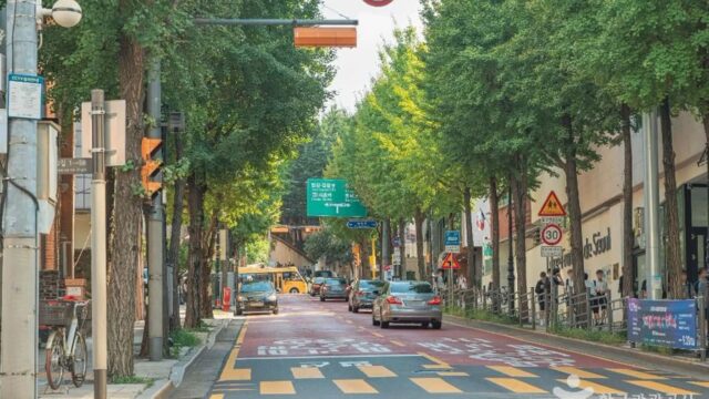 “서울 도심 속 이런 곳이 있었다니!”… 한강 1km 거리의 이국적 서래마을 명소