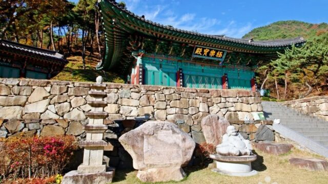 “충북 창룡사에서 이런 평화, 진짜로 경험했어?”… 백제 시대부터 이어져온 숨은 여행지
