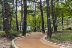 “10만 ㎡에 이런 평화가 다 있나?”… 도심 속 힐링 가득한 서울창포원 공원