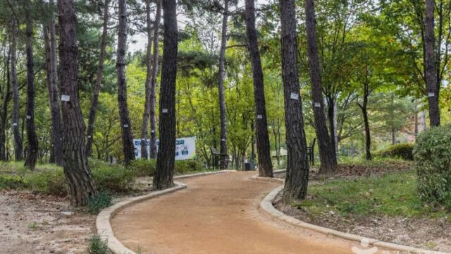 “10만 ㎡에 이런 평화가 다 있나?”… 도심 속 힐링 가득한 서울창포원 공원