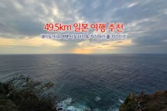 49.5km 일본 여행 추천 대마도 자유여행 사오자키 & 카스테라 롤 카스마키