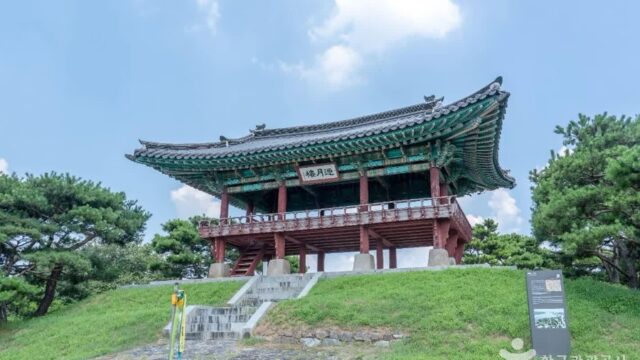 “여기서 걸음을 멈추게 하는 이유는?”… 10만 평 잔디밭과 연못의 경기도 명소
