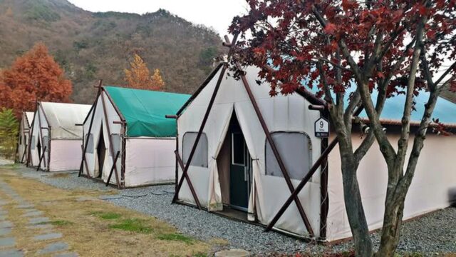 “이렇게 맑은 공기에서 캠핑을?”… 1박에 자연 그대로 즐기는 팔봉글램핑 명소