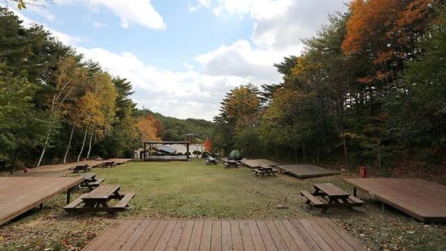 “아이들이 뛰어놀기에 딱이라니!”… 200평 공간의 동해 조망 캠핑 명소