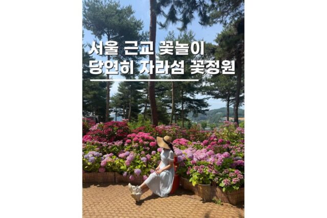자라섬남도꽃정원 가평당일치기 여행코스 애견동반 나들이