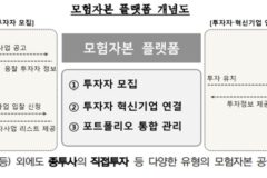 모험자본 플랫폼 7월 출범…금감원, 막바지 업계 의견 청취