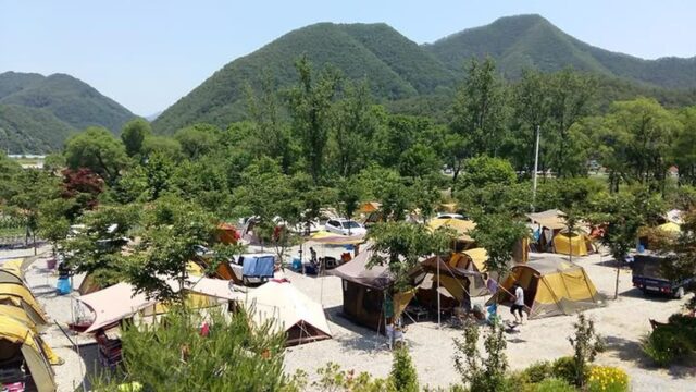 “별들이 쏟아지는 밤하늘이라니!”… 12평 프라이버시 보장 캠핑 명소