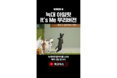 늑대 버추얼 아이돌 위고식스, 커버 영상 틱톡 타고 해외 확산