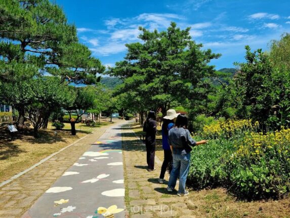 나비만 있는 줄 알았던 함평…해변·생태공원·미술관까지 특별한 하루 코스 완성