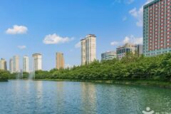 “서울 한복판, 2.5km의 산책로가 진짜 이렇게 예뻐?”… 계절마다 다른 매력을 주는 명소