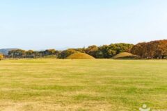 “이렇게 걸으면 신라의 숨결이 느껴진다니!”… 경주 동부 사적지대 3km 역사 여행지