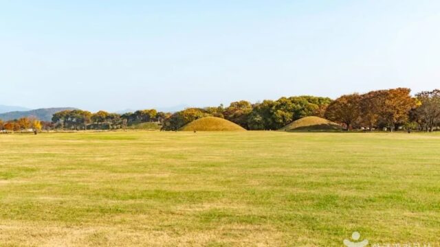 “이렇게 걸으면 신라의 숨결이 느껴진다니!”… 경주 동부 사적지대 3km 역사 여행지