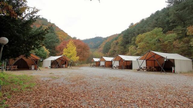 “푸른 하늘과 맞닿은 수영장, 진짜 감동이에요”… 춘천 브루조아 프라이빗 명소
