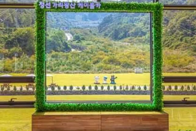 신포동 여행, 2026년 여름 어디를 가야 할까요? 놓치지 말아야 할 명소 5곳