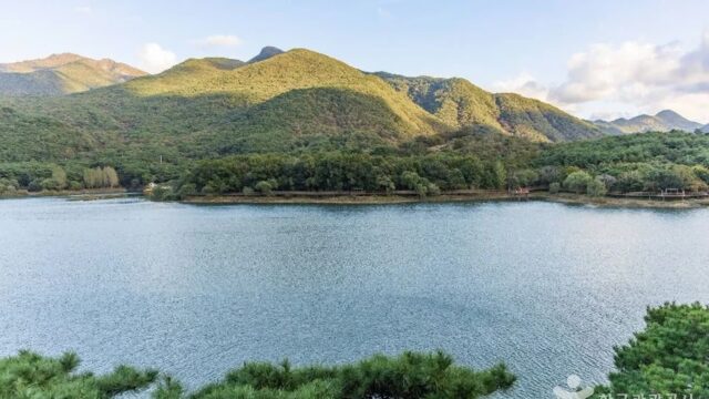 “괴산호 10km 산책로? 진짜 아름다운 자연 교향곡라니”… 자연과 함께하는 힐링 여행지