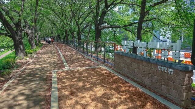 “3.7km 걷기만 해도 이렇게 힐링되다니!”… 갈대숲 속에 숨은 특별한 서울 코스
