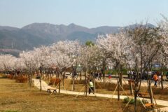 창원 야경, 2026년 여름밤 추천 BEST 5 코스 완벽 가이드