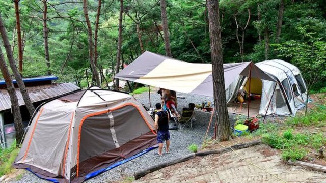 “진짜 자연과 하나가 될 수 있다니…” 5,000평 곡성 힐링 여행지
