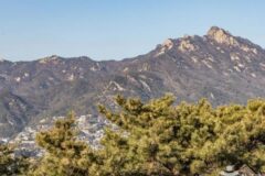 “단풍 시즌에 이런 곳이 있었다니 라니!”… 가을에 더 빛나는 서울의 비밀 명소