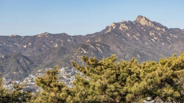 “단풍 시즌에 이런 곳이 있었다니 라니!”… 가을에 더 빛나는 서울의 비밀 명소