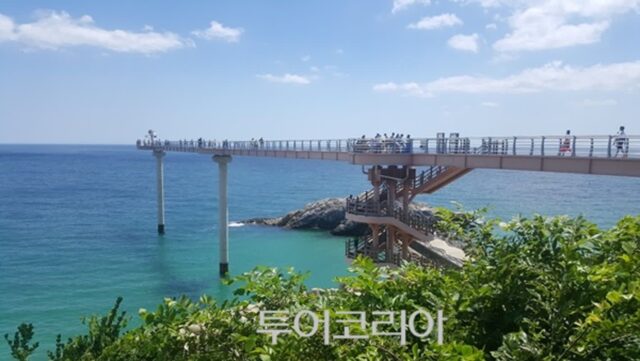 바다 위 걷고 동굴 속으로…울진, 가족 취향 모두 채우는 여름 힐링 여행지