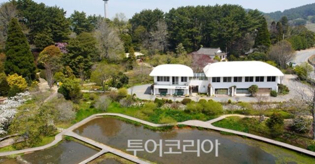 태안, 올여름 ‘취향별 힐링 여행지’로 뜬다..조용한 해변부터 반려견 갯벌체험까지