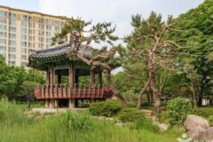 “서울 한복판에 20,000㎡ 자연 쉼터?”… 진짜 여기가 동대문구 간데메공원
