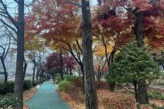 “50% 할인된 입장료라니, 진짜?”… 서울 도심 속 자연의 숨결 구로거리공원