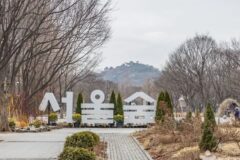 “이렇게 넓은 곳이 무료라고?”… 도심 속 1,156,498㎡ 자연 공원