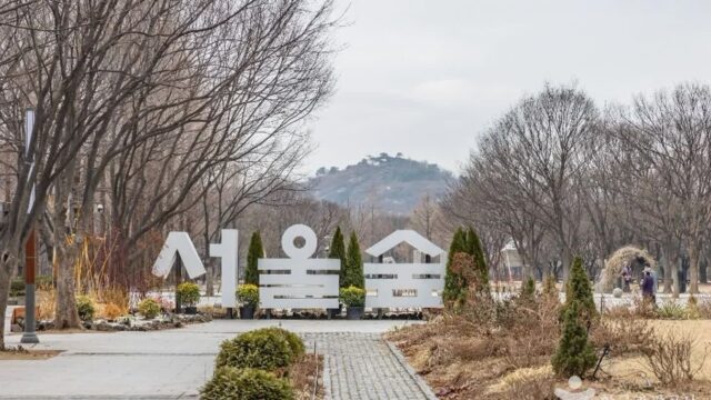 “이렇게 넓은 곳이 무료라고?”… 도심 속 1,156,498㎡ 자연 공원