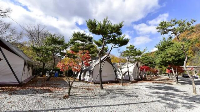 “10,000㎡ 자연 속에서 진짜 힐링을?”… 리즈밸리의 숨은 매력 여행지