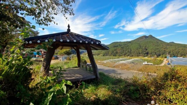 “여기 공기 진짜 맑다니!”… 100만 평 숲속 산책길 영동 비단강숲마을 여행지