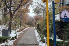 “256,000㎡ 공원이 서울 한복판에 있다니”… 도심 속 자연과 낭만의 몽마르뜨공원