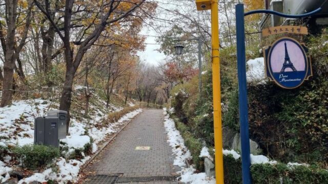 “256,000㎡ 공원이 서울 한복판에 있다니”… 도심 속 자연과 낭만의 몽마르뜨공원