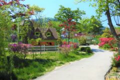 “경기 가평에 이런 곳이 있다고?”… 자연 속 동물과 교감하는 특별 여행지
