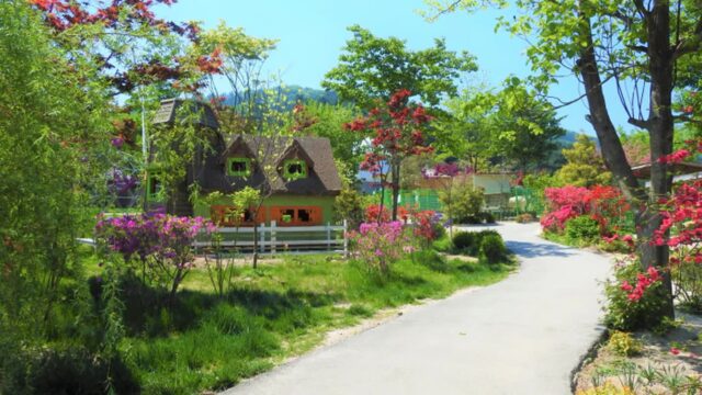 “경기 가평에 이런 곳이 있다고?”… 자연 속 동물과 교감하는 특별 여행지