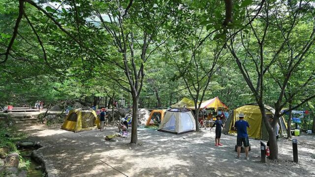 “면적 5,000㎡ 숲속에서 진짜 힐링을?”… 자연과 조화 이루는 소막골야영장 여행지