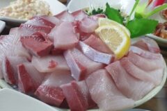 “250㎡에 이렇게 많은 해산물이!”… 신선한 미각 경험 여행지