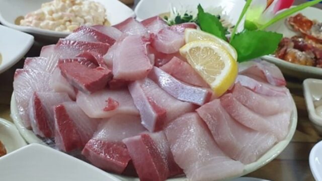“250㎡에 이렇게 많은 해산물이!”… 신선한 미각 경험 여행지