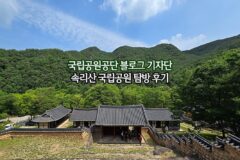 국립공원공단 블로그 기자단 속리산 국립공원 탐방 후기