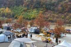 “경상북도에 이런 곳이?”… 4계절 내내 특별한 경험 제공 여행지