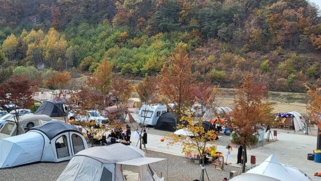 “경상북도에 이런 곳이?”… 4계절 내내 특별한 경험 제공 여행지