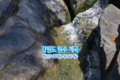 강원도 원주 계곡 | 백운산 자락 원주 용수골 계곡