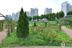 “5km 따라 펼쳐진 이런 사계절 장관, 진짜야?”… 서울 도심 숨은 명소