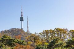 “서울 도심에서 480m 하늘 정원이라고?”… 여유로운 시간을 선사하는 남산서울타워 명소