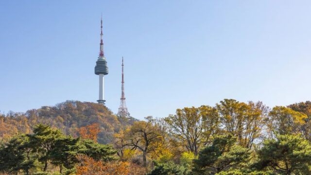 “서울 도심에서 480m 하늘 정원이라고?”… 여유로운 시간을 선사하는 남산서울타워 명소
