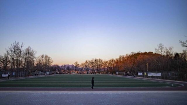 “도심 속에 이런 자연이? 50,000㎡ 푸른 숲이라니”… 일상에 지친 당신을 위한 서울의 쉼터, 용왕산근린공원